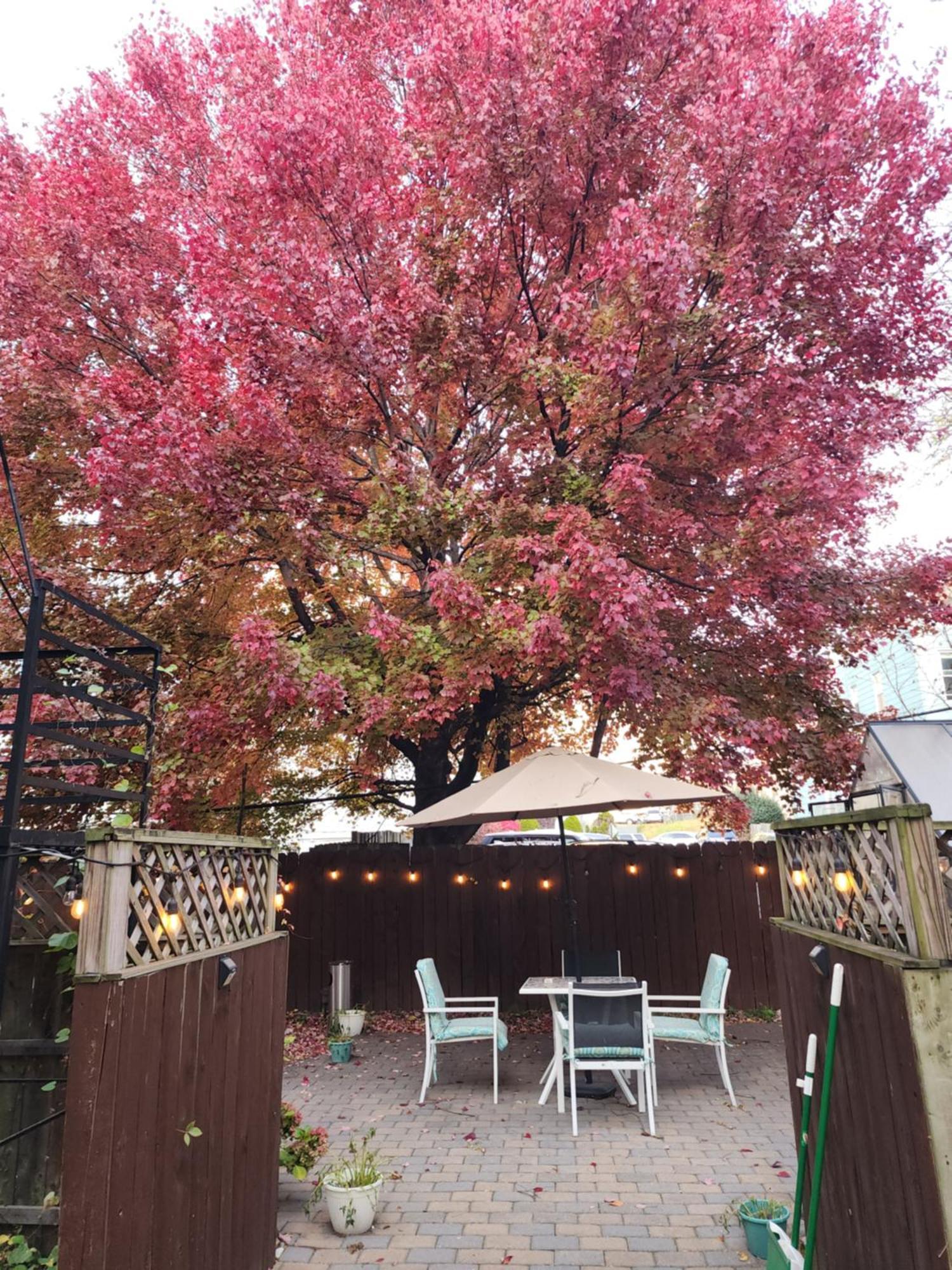 Magnolia Stay Near New York City Jersey City Luaran gambar