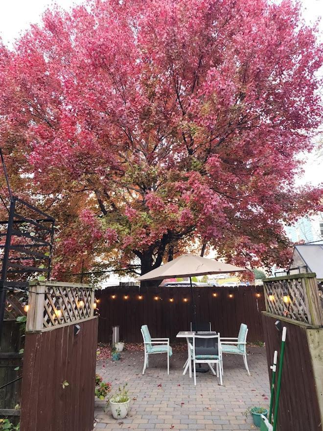 Magnolia Stay Near New York City Jersey City Luaran gambar