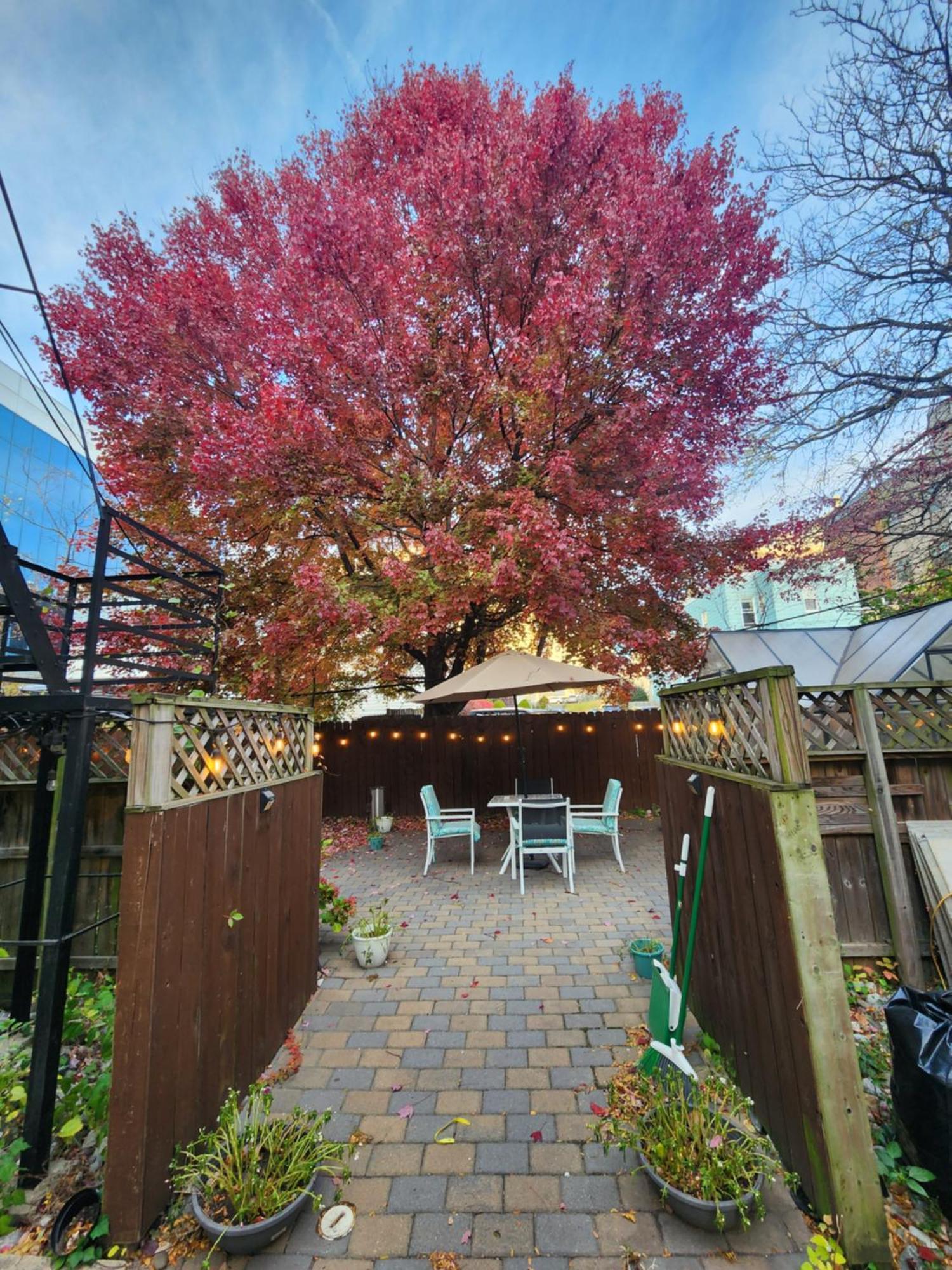 Magnolia Stay Near New York City Jersey City Luaran gambar
